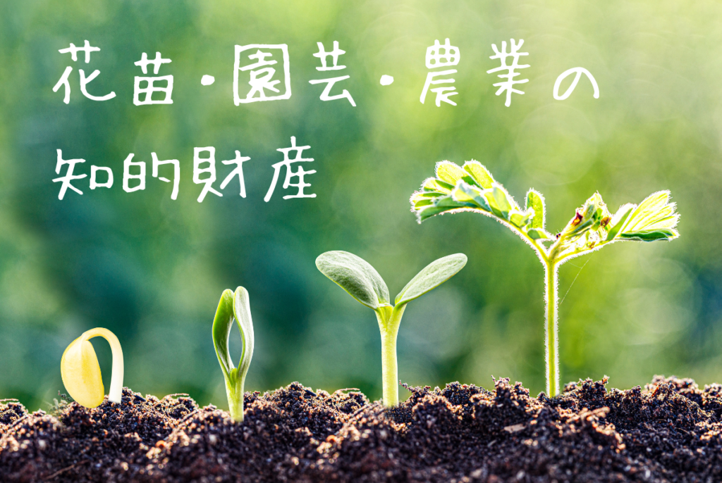 花苗・園芸・農業の知的財産